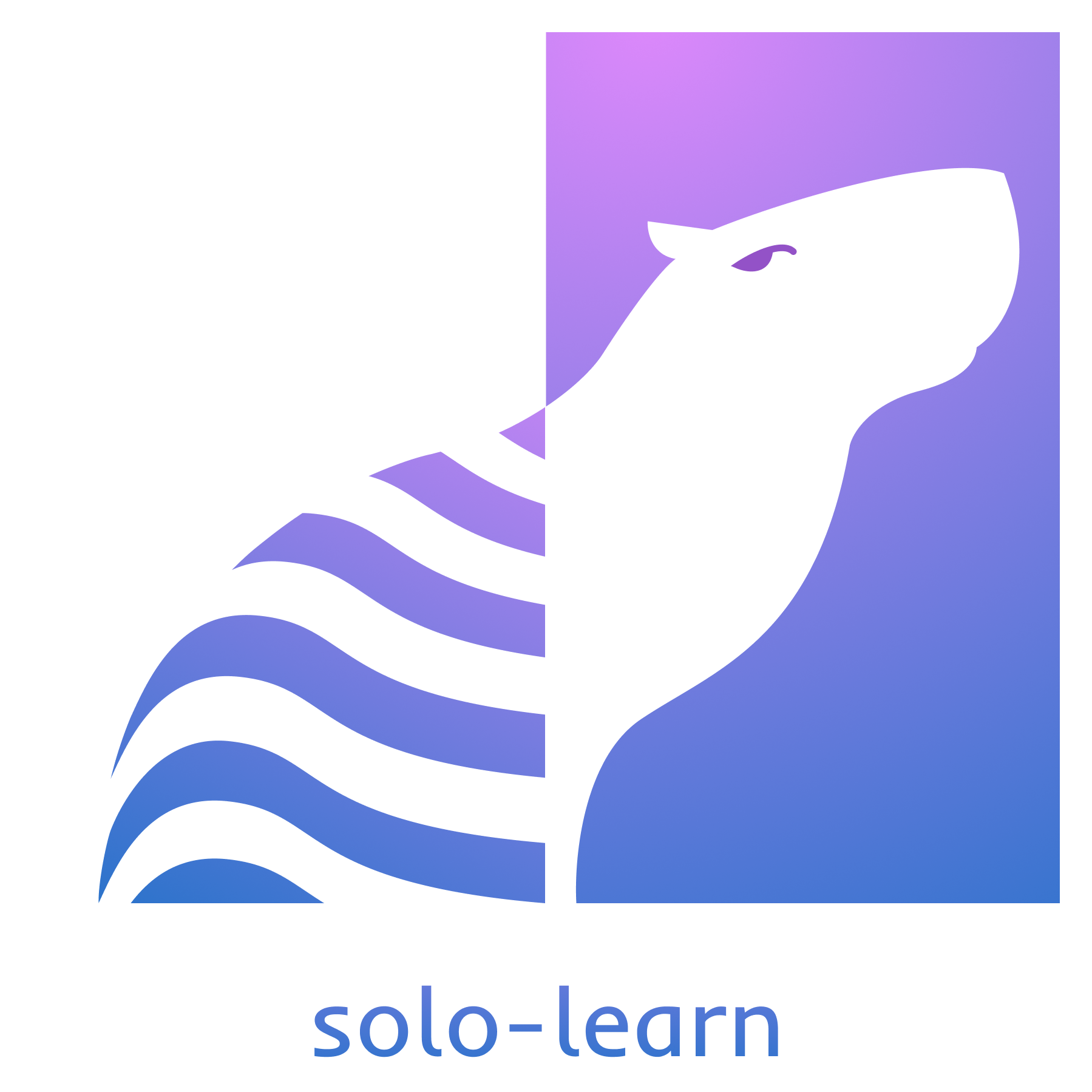 solo-learn logo