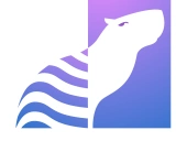 solo-learn: 一个强大的自监督视觉表示学习库