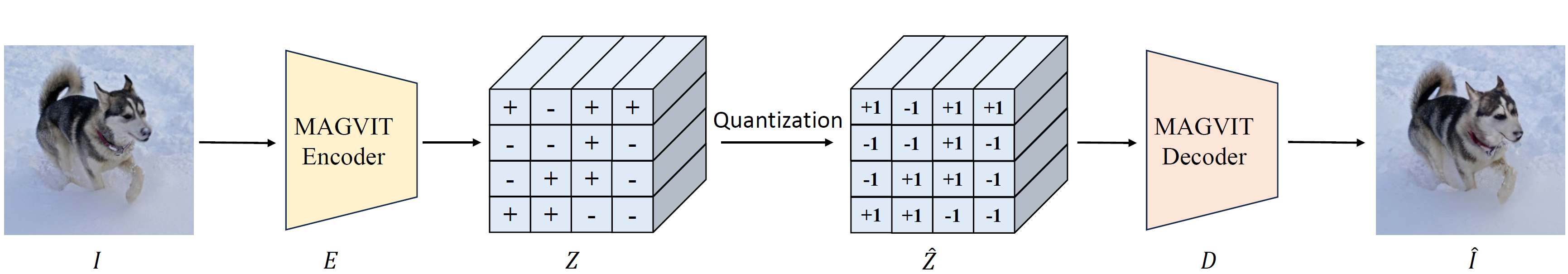 Open-MAGVIT2 Framework