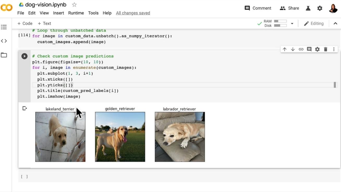 Image 3: Dog Vision