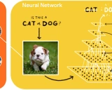 深入解析Neural Structured Learning: 结构化信号赋能神经网络训练