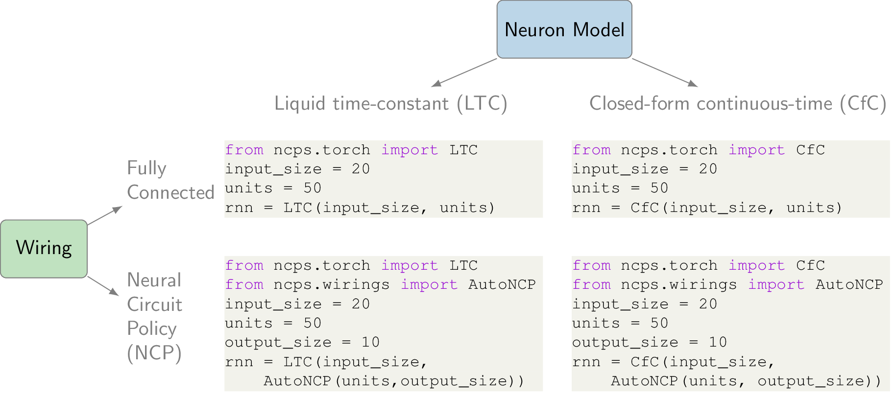 深入解析Neural Circuit Policies(NCPs): PyTorch和TensorFlow的新型神经网络模型 - 懂AI