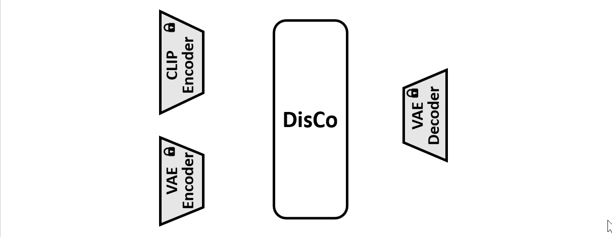 DisCo training process