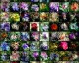 Autoregressive Diffusion: 基于PyTorch�的自回归扩散模型实现