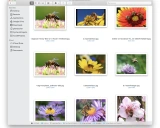 Google Images Download: 强大的图片下载工具
