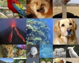 MAR: 一种无需向量量化的自回归图像生成模型