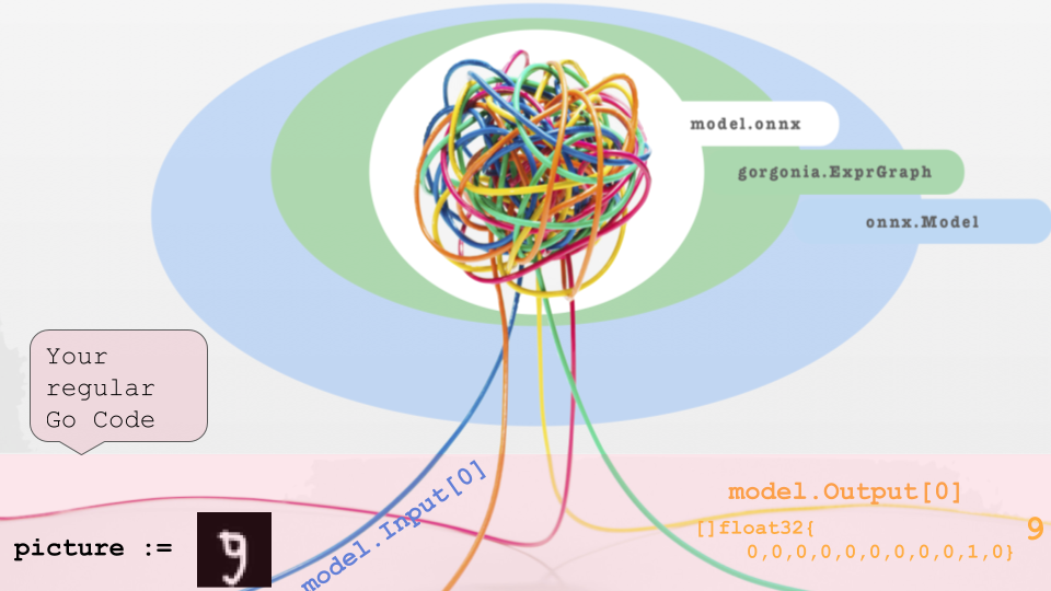 ONNX-Go Schema