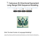 Caduceus：DNA序列分析的突破性双向等变建模方法