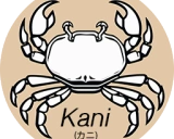 kani: 一个轻量级且高度可定制的语言模型应用框架