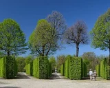 Bosquet: 打造大型语言模型应用的强大工具集