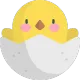 DuckyShot