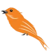 SMARTBIRD