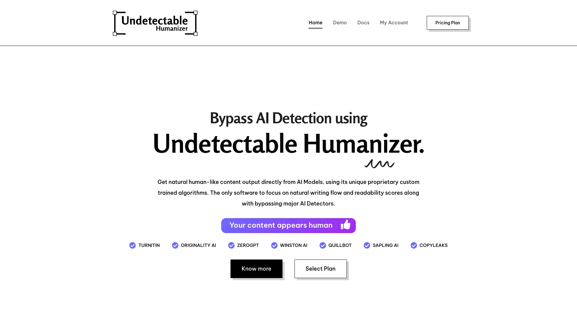 Undetectable AI Humanizer 主页