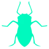 Aphid