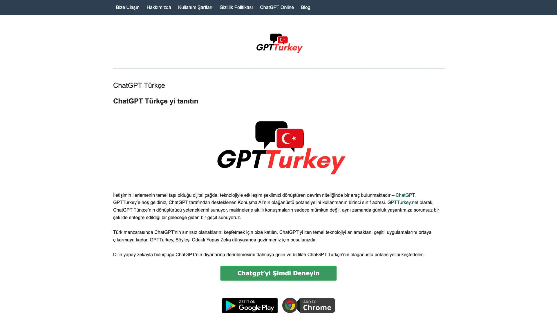 ChatGPT Türkçe 主页截图
