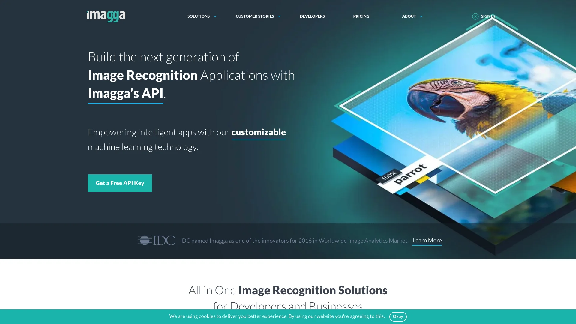 Imagga Image Recognition API 主页截图