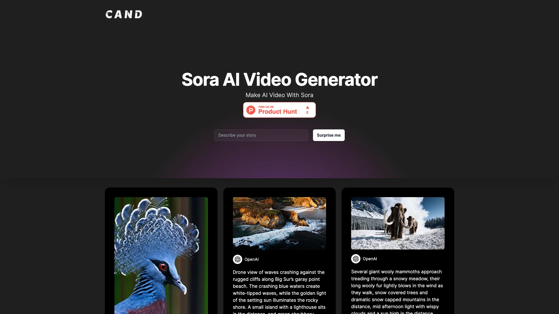 Sora AI Video Generator主页