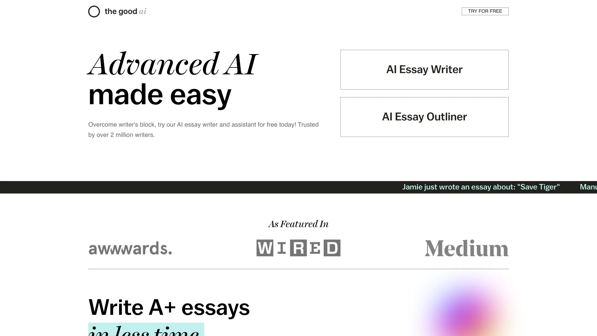 AI Essay Writer 主页截图