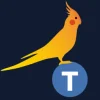 Teammate AI Services