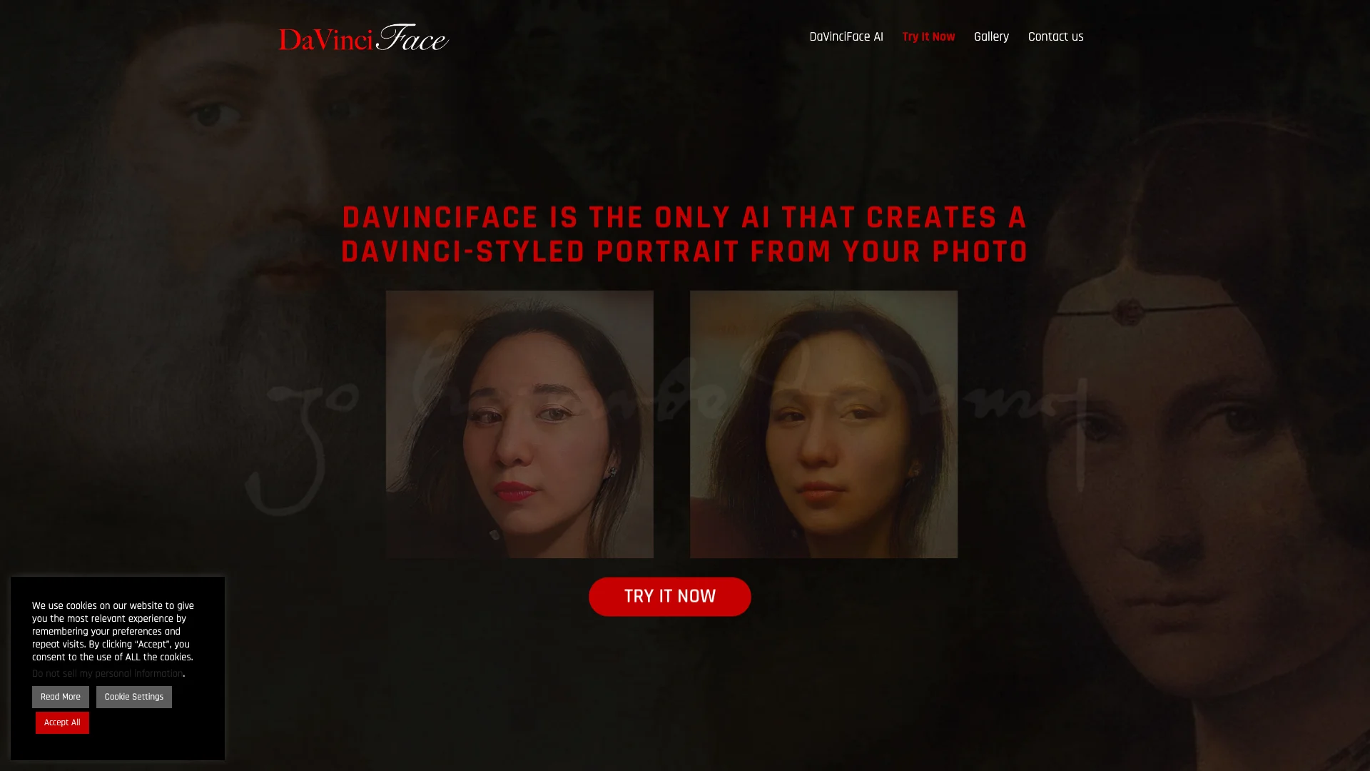 DaVinciFace 项目主页截图