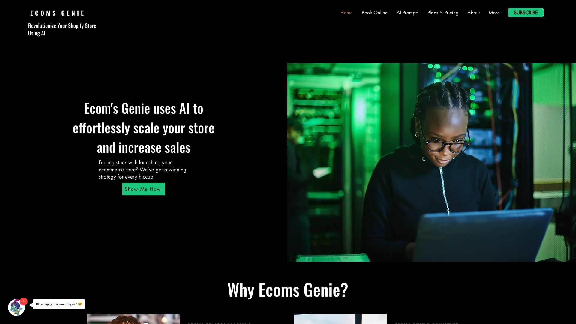 Ecom Genie 主页截图