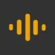 GoVoice