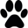 ShortVideoGen