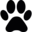ShortVideoGen