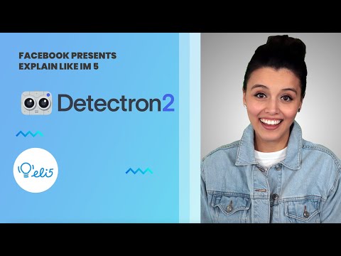 像我五岁一样解释 Detectron2