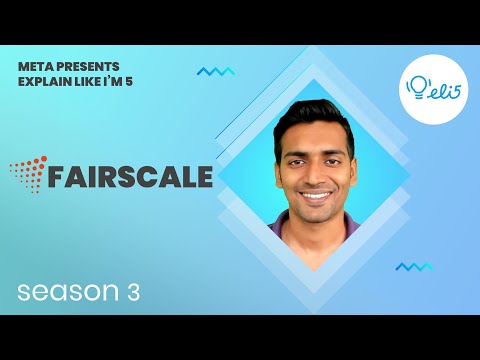 像我五岁一样解释：FairScale