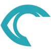 RSIP Vision