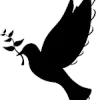 Writing Sparrow