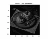 PyTorch感受野计算工具:pytorch-receptive-field