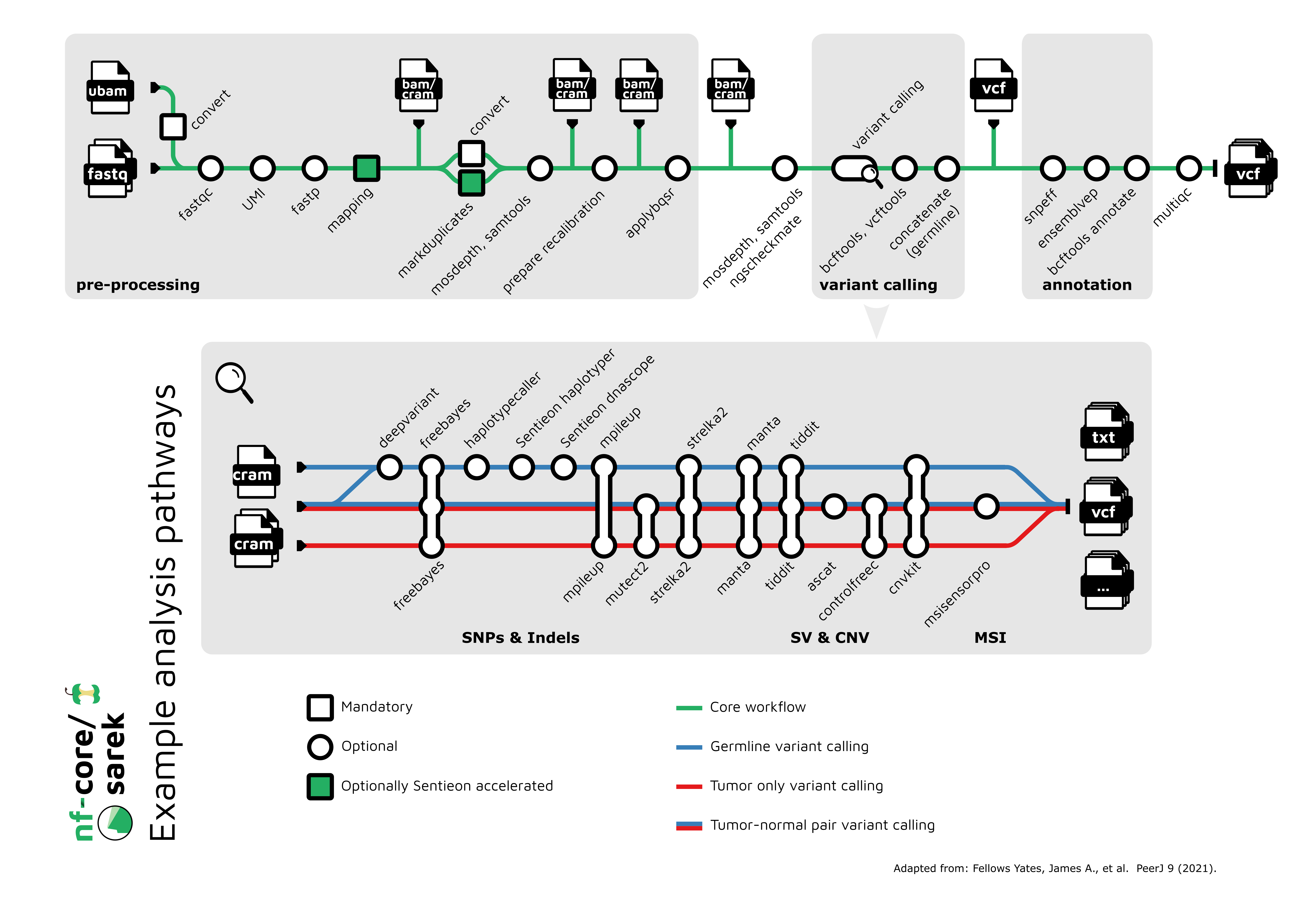 Image 18: Sarek Workflow