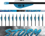 Arrows: 一款创新的人工智能辅助写作工具