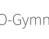 MO-Gymnasium：多目标强化学习的标准化环境库