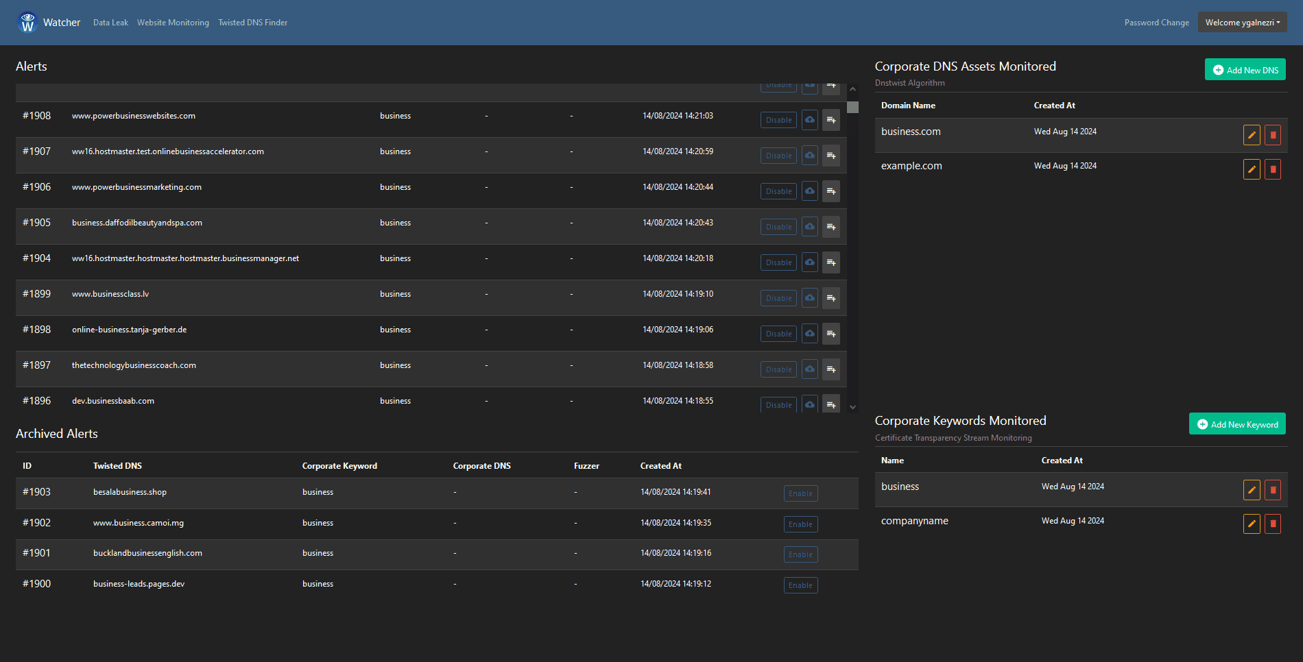 Suspicious domain names detection
