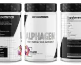 AlphaGen: 利用强化学习生成股票预测因子
