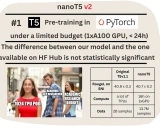 nanoT5: 高效快速预训练和微调T5模型的开源框架