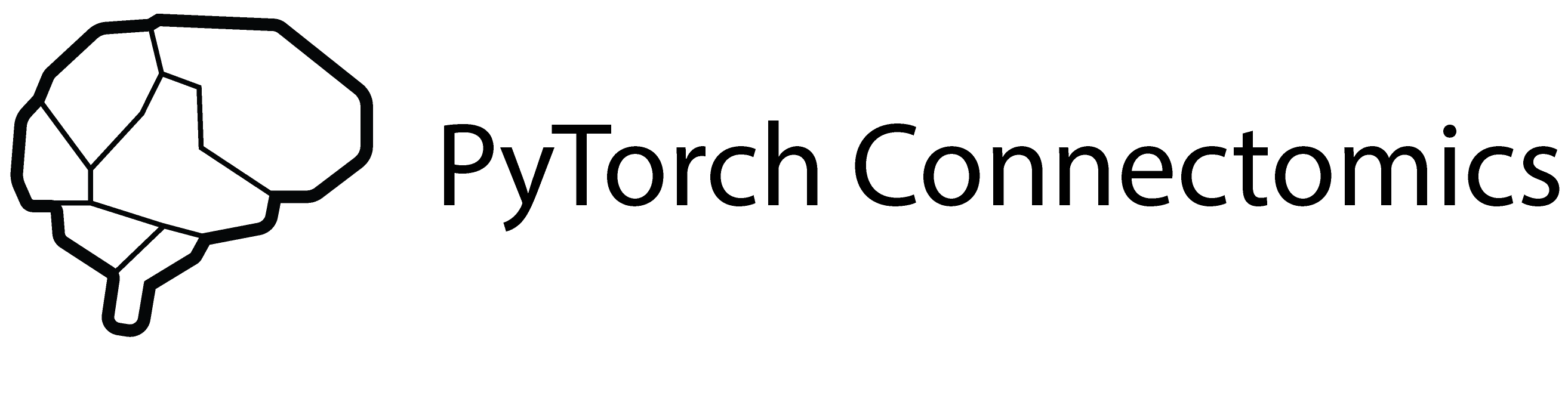 PyTorch Connectomics Logo