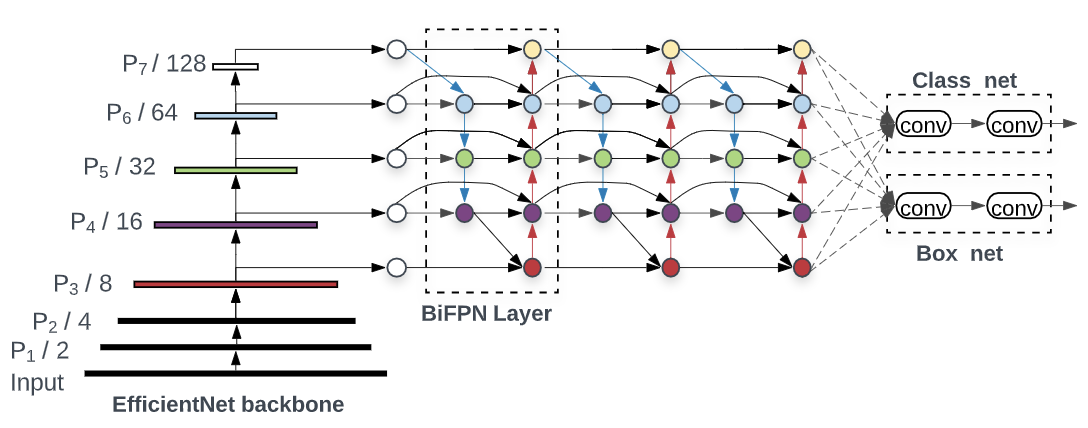 EfficientDet架构图