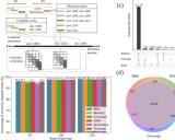 Chromap: 快速处理染色质数据的对齐与预处理工具