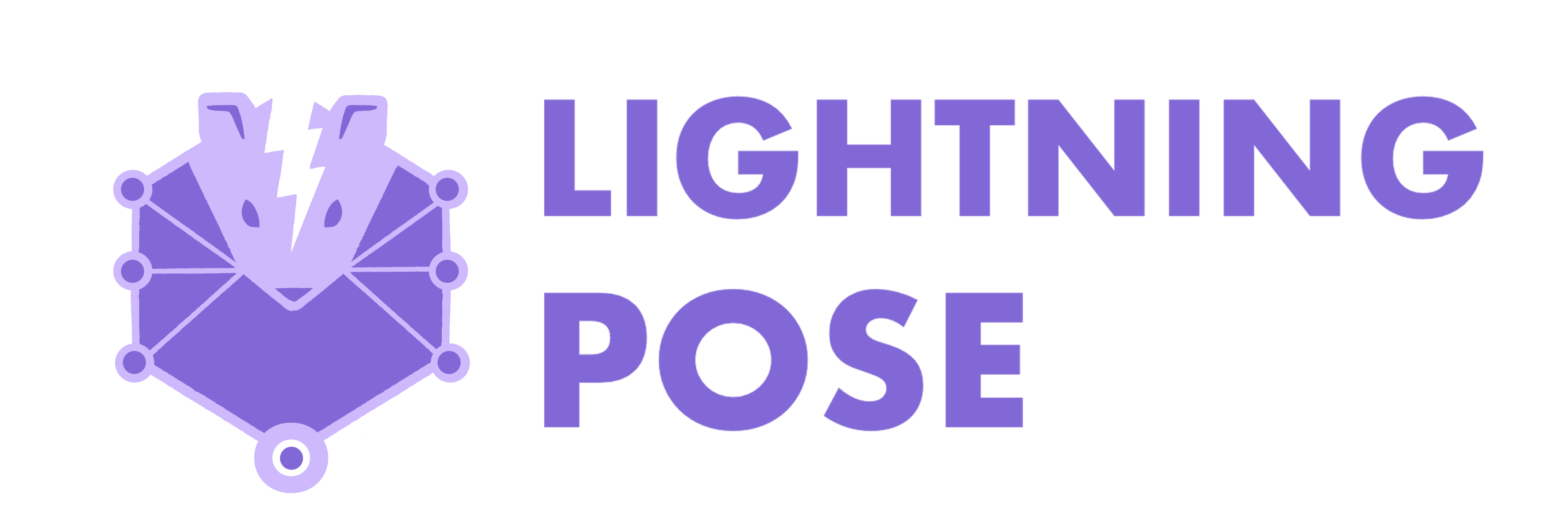 Lightning Pose logo