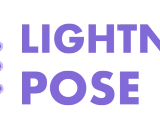 Lightning Pose: 加速动物姿态估计的开源深度学习框架
