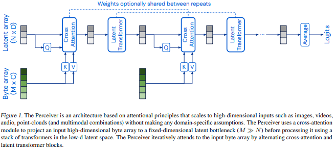 Perceiver架构图