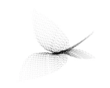 Samila: Python生成艺术的强大工具