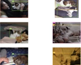 YOLOExplorer: 革新计算机视觉数据集探索与迭代的利器