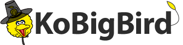 KoBigBird logo