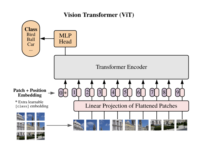 ViT Architecture