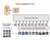 Vision Transformer: 图像识别的变革性架构